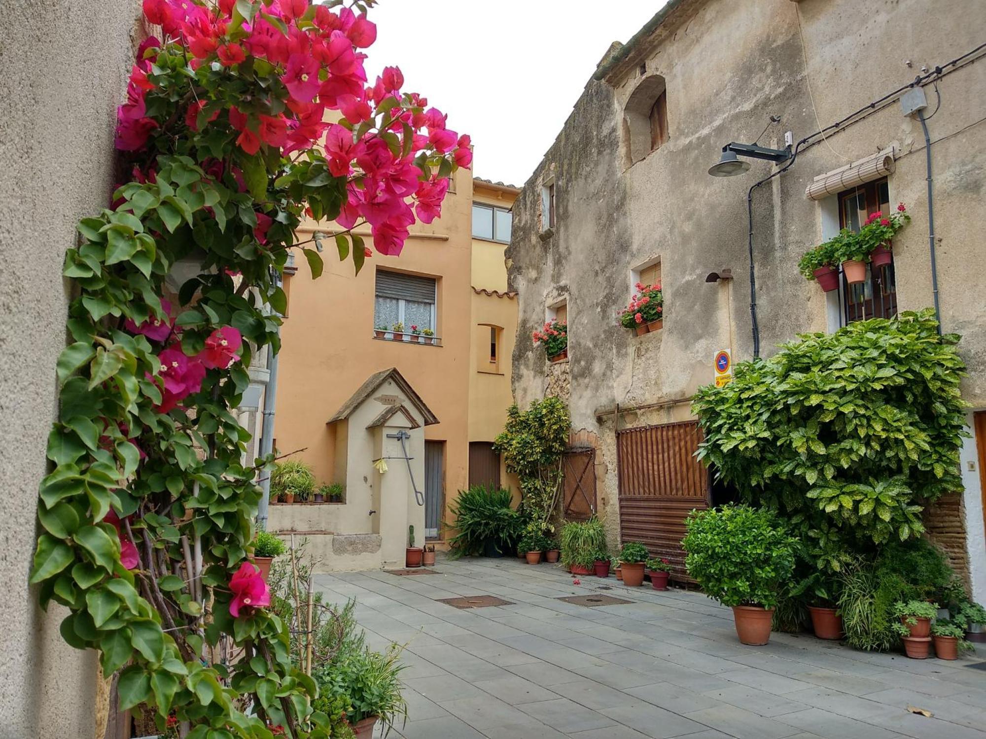Can Girmas Casa De Turisme Rural ナヴァタ エクステリア 写真