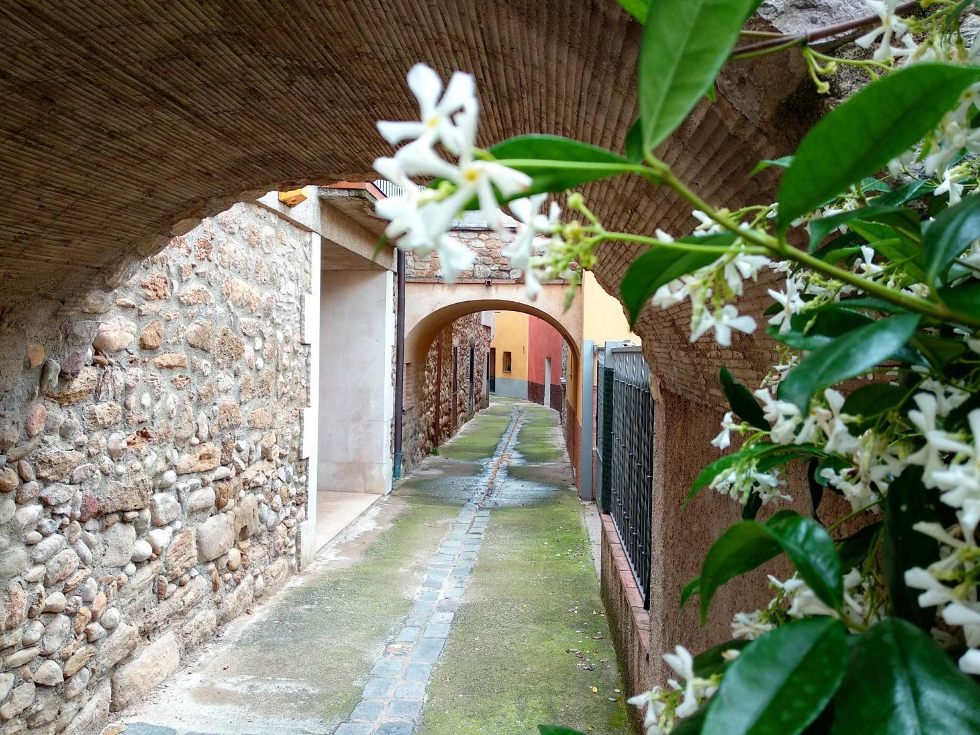 Can Girmas Casa De Turisme Rural ナヴァタ エクステリア 写真